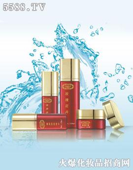 ����Ľʢ����Ƽ����޹�˾��ʢ�����w�� �ޏ�(f��)��