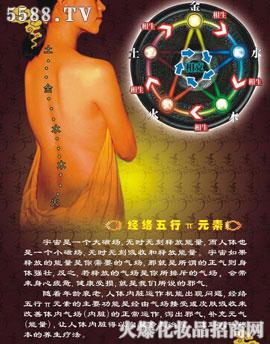 ���������Ц�Ԫ���׺н�B