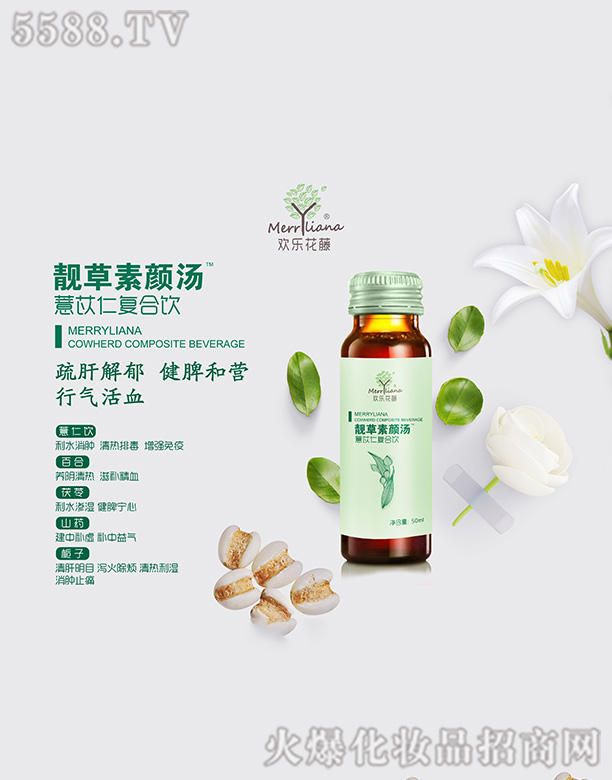 �g�������n�����޲���ʏ�(f��)���