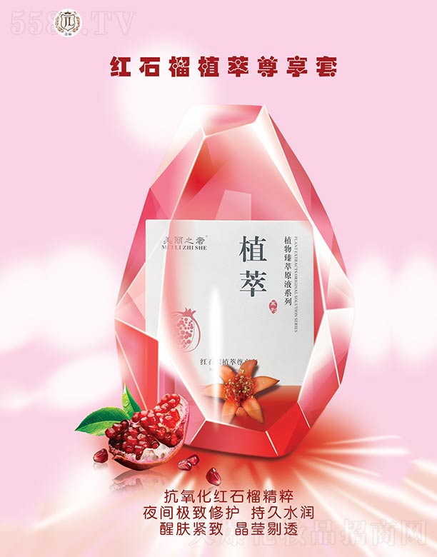 �Lѩ���tʯ��ֲ��������