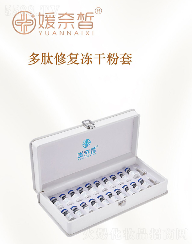 ���������ޏ̓��ɷ���