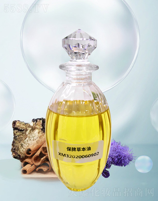 ��Ƣ�ݱ���