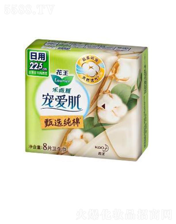 �����Ō��ۼ����x���޽z����22.5cm��8p��ס������ܛ