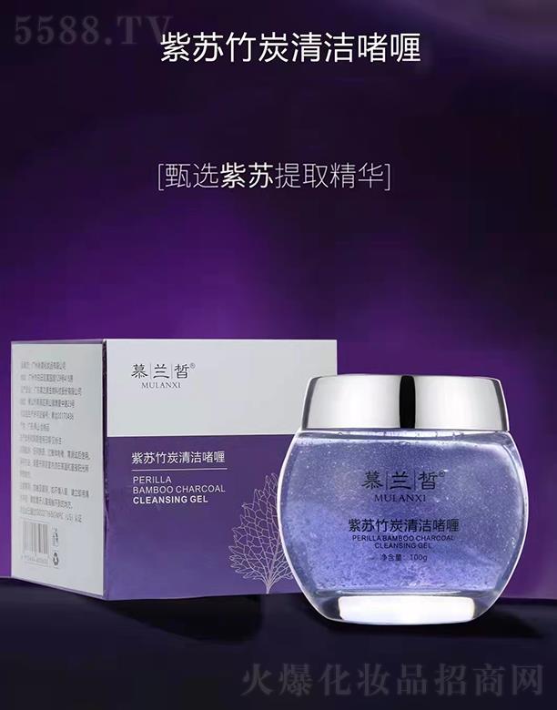 Ľ�m����K��̿�坍��� 100g�غ͐�������