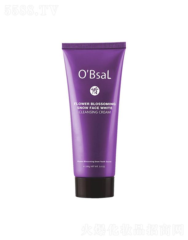 ����������߶�����Ƽ����޹�˾���Wؐѩ����ѩ�ˮ�۝���˪