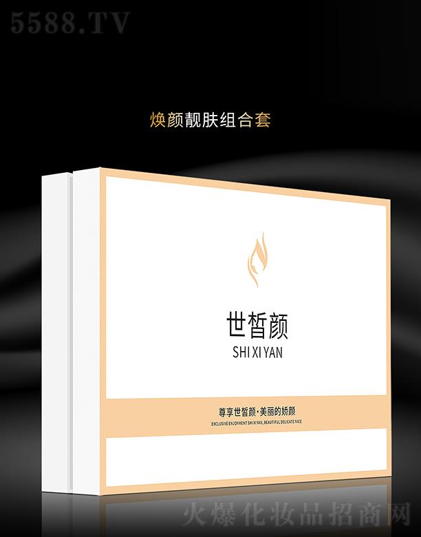 �V���ư�����Ƽ����޹�˾��������n�w�M����