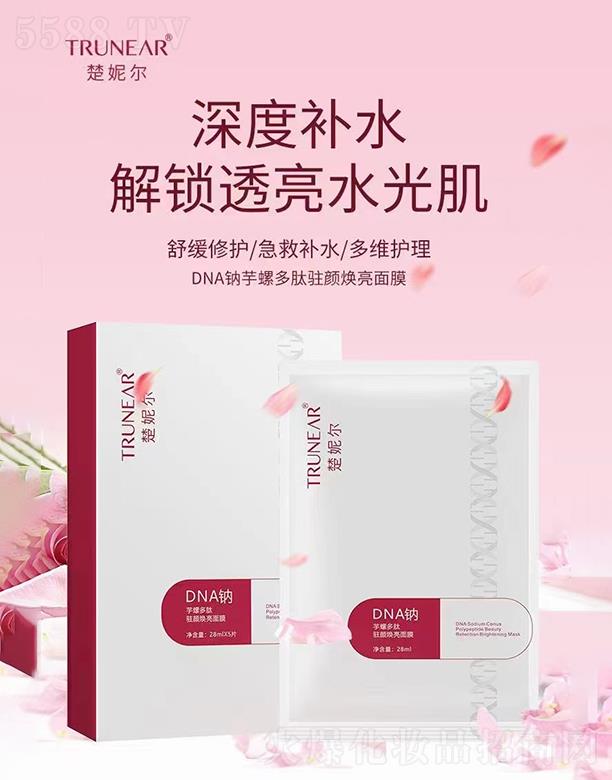 ���ݠ�DNA�c���ݶ����v�����Ĥ