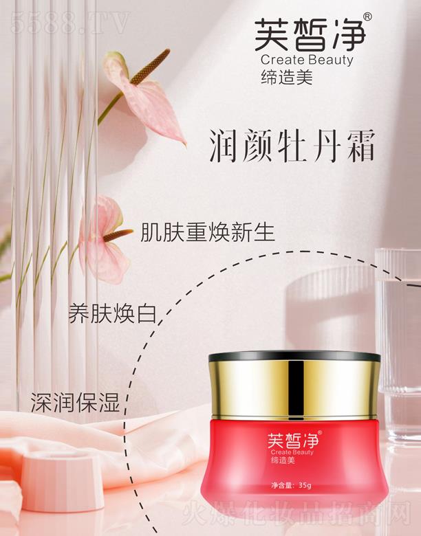 �V�|���y�t(y��)ˎ����Ƽ����޹�˾��ܽ����(r��n)�ĵ��˪