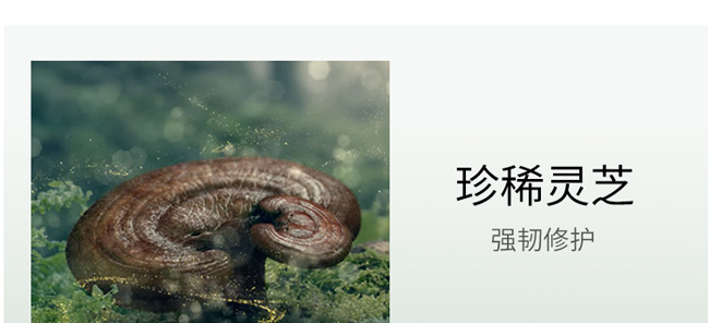 嵐?jié)欖`芝仙草系列護膚套組 嵐?jié)欖`芝仙草系列護膚套組