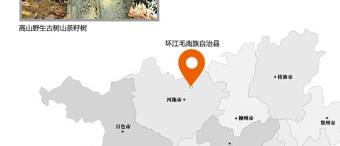 茶氏家族-山茶籽調(diào)理精油 茶氏家族-山茶籽調(diào)理精油