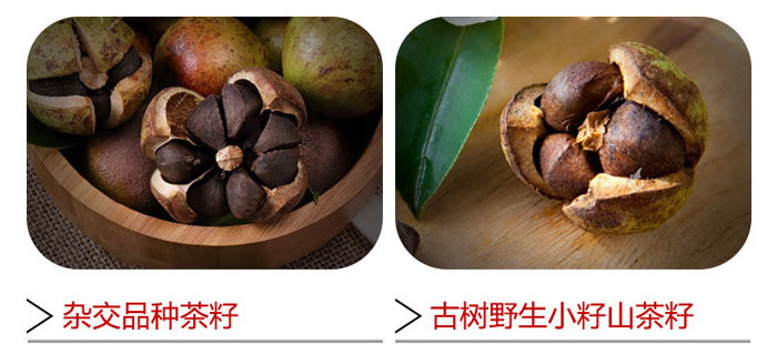 茶氏家族-山茶籽調(diào)理精油 茶氏家族-山茶籽調(diào)理精油